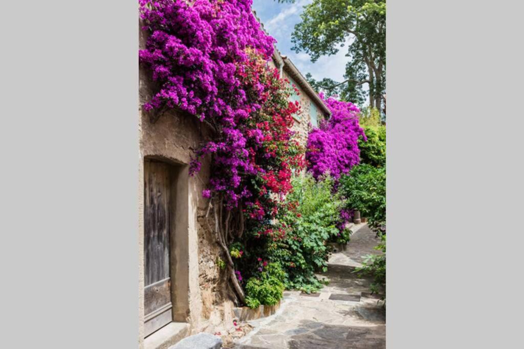 Coquet 2 Pieces Coeur Vieil Antibes Daire Dış mekan fotoğraf